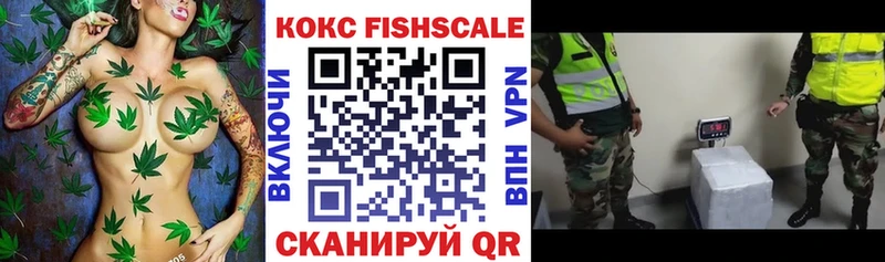КОКАИН Fish Scale  Купить  Ефремов 