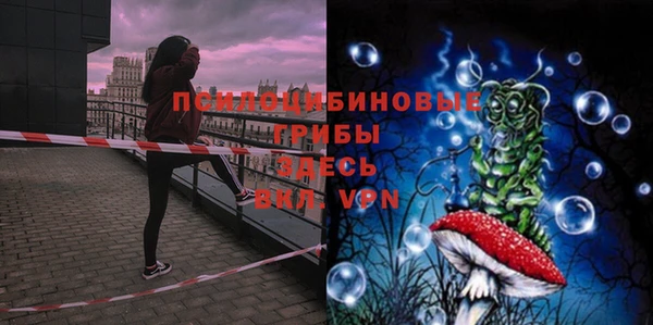 герыч Ельня