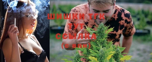 герыч Ельня